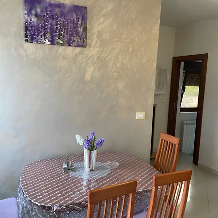 Villa Kimberly Rovinj Exterior photo